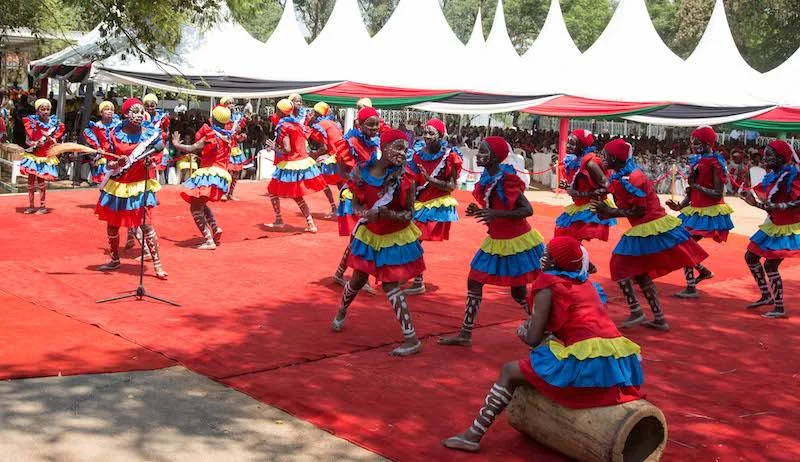 Mesmerizing Cultural Festival Captivates Visitors with Vibrant African Heritage Showcase
