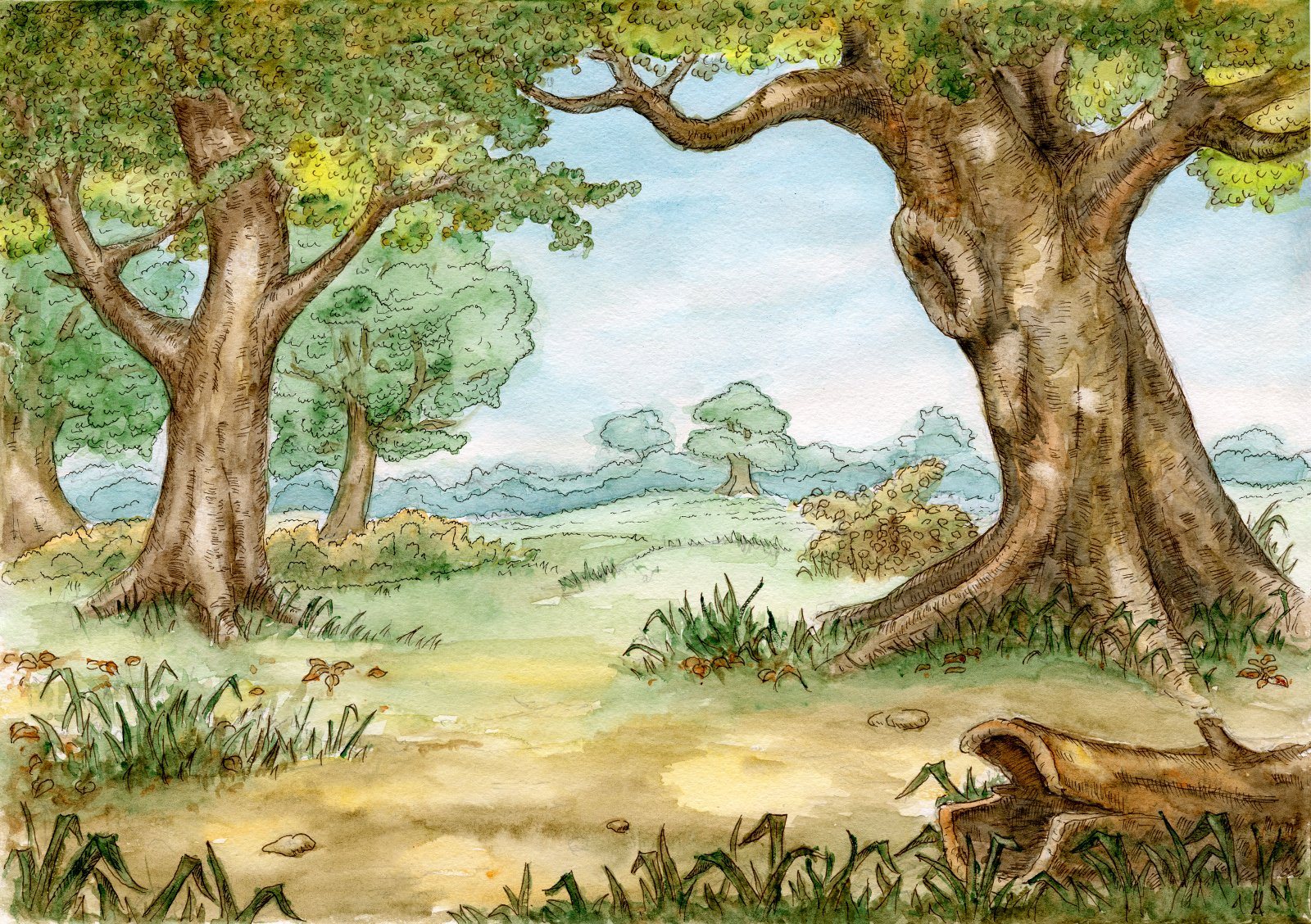 Exploring the Hundred Acre Wood: A Simple Guide