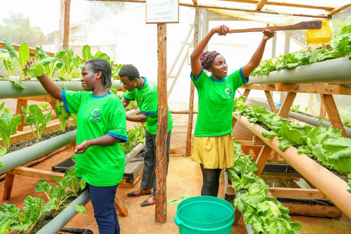 KCB Group Expanding Youth Empowerment Initiative Across East Africa