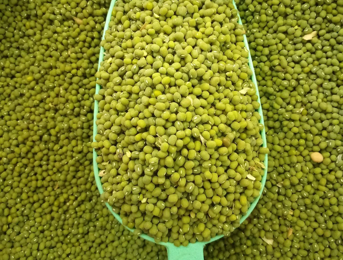 Ndengu: The Green Gem of Kenya's Cuisine