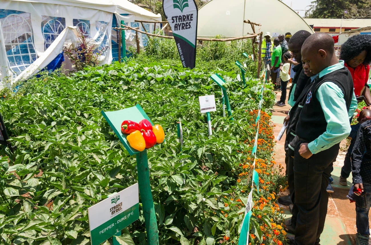 Andermatt Expands to Kenya, Showcasing Nature's Solutions for Agricultural Productivity