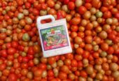 Best Organic Fertilizer