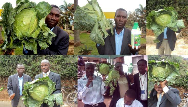 Best Organic Fertilizer