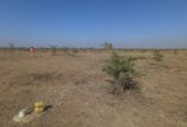 40×80 prime Plot for Sale in Mwalimu Farm, Ruai