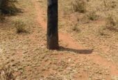 LAND FOR SALE AT MATTA, TAITATAVETA