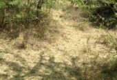 LAND FOR SALE AT MATTA, TAITATAVETA