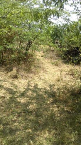 LAND FOR SALE AT MATTA, TAITATAVETA