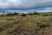3Acre land for sale Naromoru Muriru