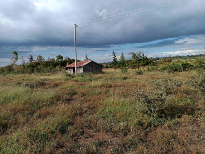 3Acre land for sale Naromoru Muriru