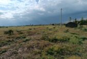 50×100 plots for sale Nanyuki sweet waters