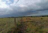 50×100 plots for sale Nanyuki sweet waters