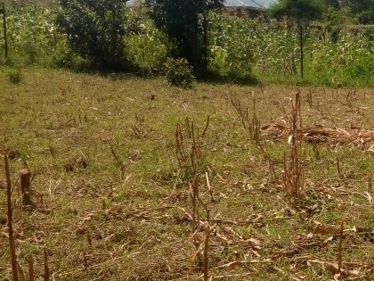 Land for sale