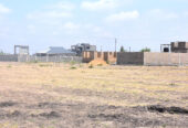 FULL 50 X 100 PLOT FOR SALE JUJA MASTORE 1KM FROM TARMAC RD