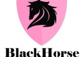 Blackhorse Private Investigators In Mombasa and Nairobi Kenya