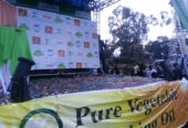 Confetti & Helium Balloons Visual Effects for Events