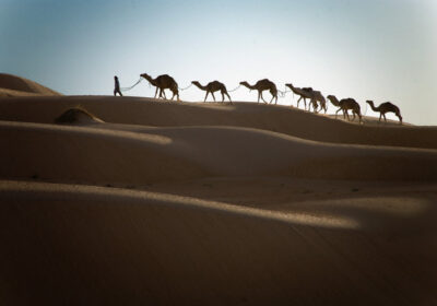 Camel Driver Camp in Erg Ouarane
