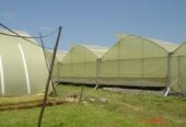 Do you want a successful and profitable agribusiness venture? Try Aquaponicpoultry System