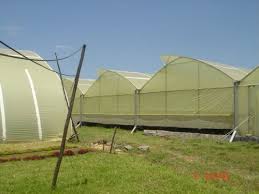 Do you want a successful and profitable agribusiness venture? Try Aquaponicpoultry System