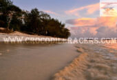 Zanzibar New Year Beach Holiday