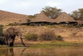 Amboseli National Park
