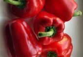 RED CAPSICUMS