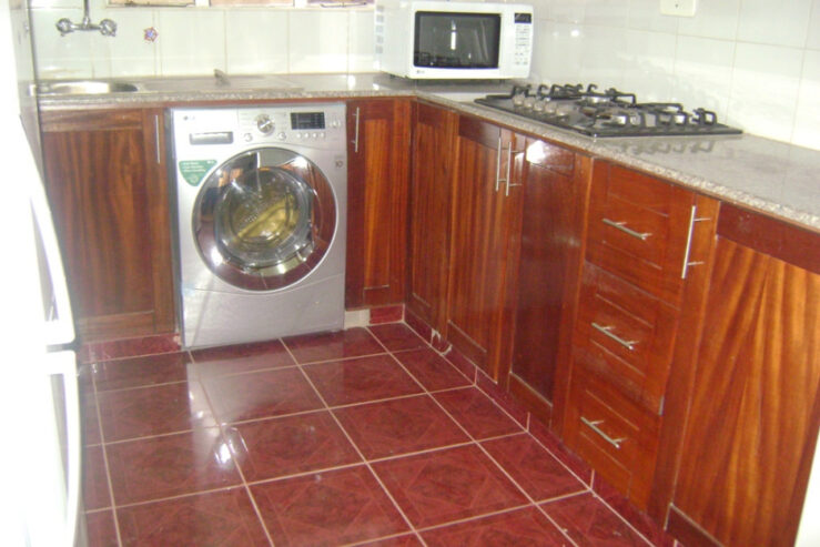 Rental Houses in Westlands