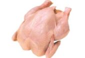 Broilers for sale