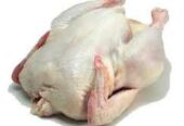 Broilers for sale