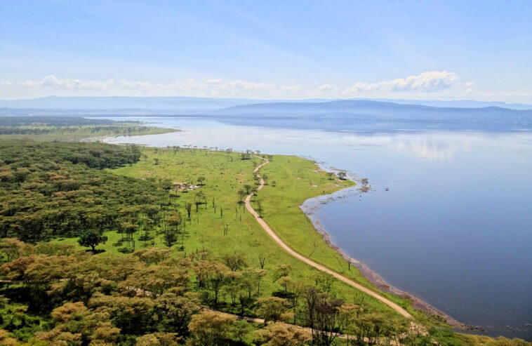 Lake Nakuru National Park Safari and Menengai Crater Hike (31 May – 1 June)