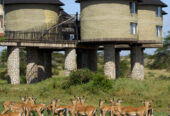 Mashujaa Weekend @ Sarova Salt Lick 2 Nights 3 Days 18th – 20th October 2015