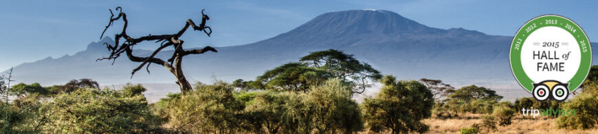 Jamhuri Weekend @ Sentrim Camp Amboseli National Park 2 Nights 3 Days 11th – 13th December 2015