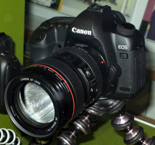 FOR SALE NIKON D7000,CANON EOS 5D Mark III/MARK II DIGITAL CAMERAS