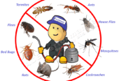 Bedbugs & Fumigation services at Florascape