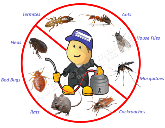Bedbugs & Fumigation services at Florascape
