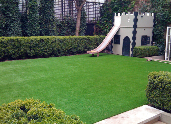 Plants +lawn grass in Kenya