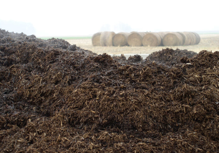 manure for sale