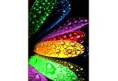 INFINIX X601 Note 3 – 16GB – 2GB RAM – 13MP Camera – Dual SIM – Gold