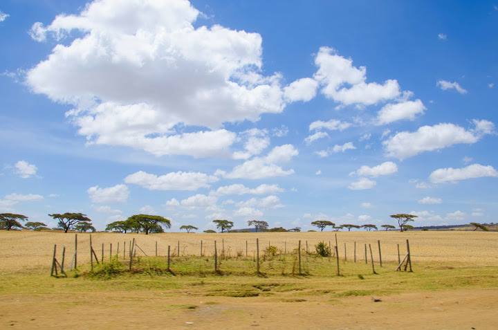 20,000 Acres Land for Sale or Lease at Kilgoris