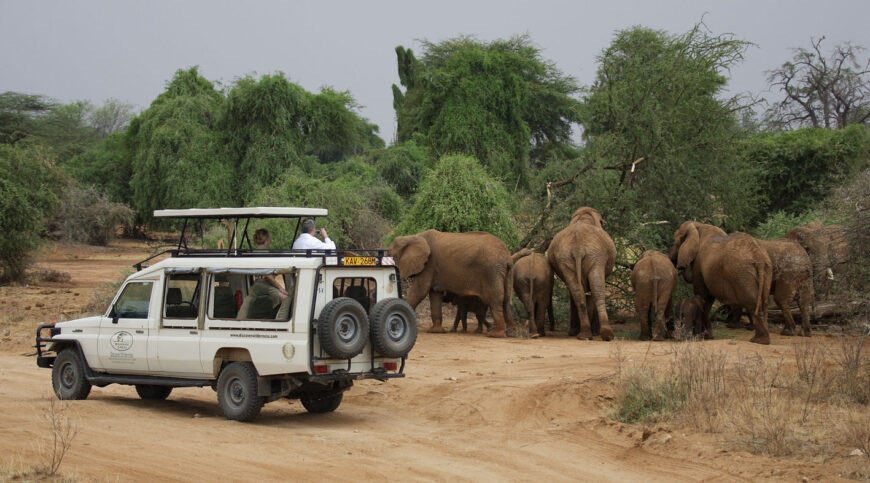 Mashujaa Wilderness Safari.