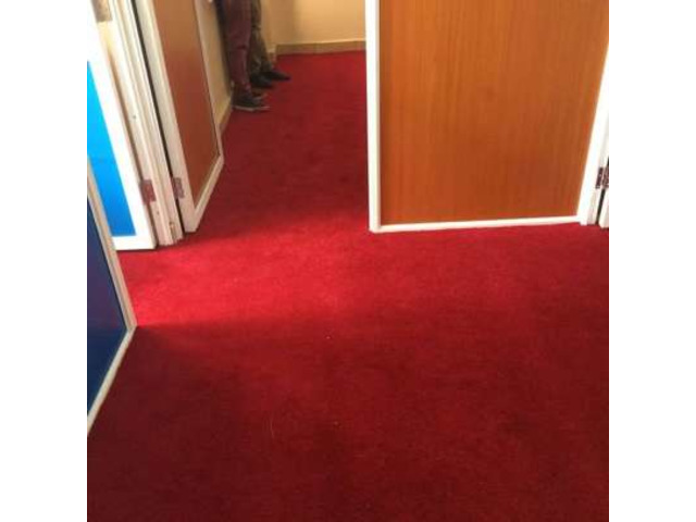 Wall-to-wall carpets- high quality, different colors & thickness, durable