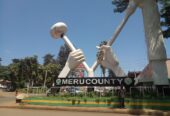 Plot in Meru CBD