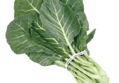 Freshly-Harvested-Kale-Sukuma-Wiki