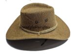 A brown cowboy hat
